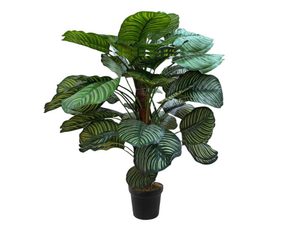 Calathea con Vaso senza Tronco D50x120cm Pianta Artificiale in Plastica e Poliestere