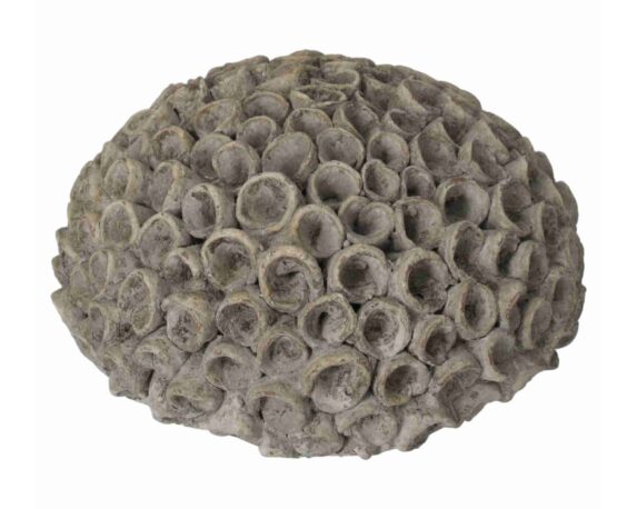 Decorazione Coralli Piccolo Grigio 20x9cm Ceramica