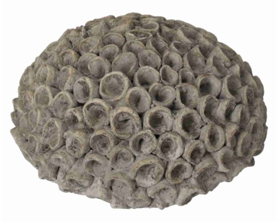 Decorazione Coralli Grande Grigio D23x10cm Ceramica