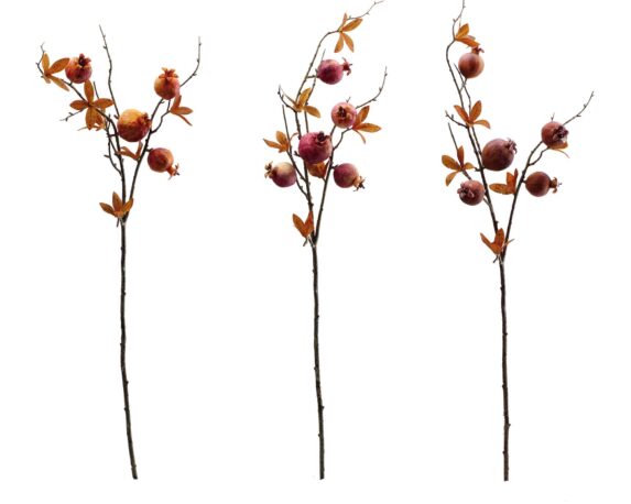 Decorazione Ramo con Melograni Assortito 80cm