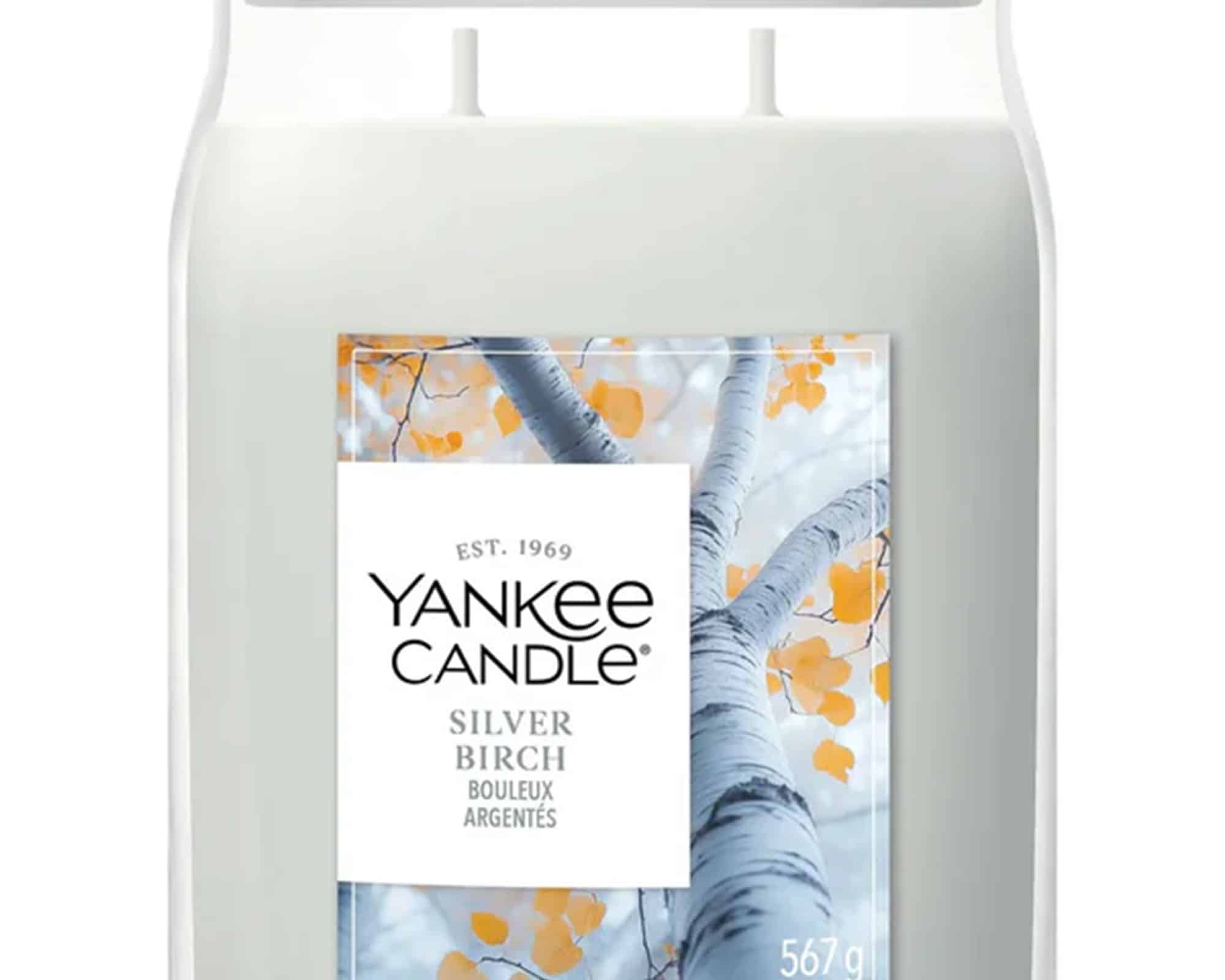Candela Giara Grande Silver Birch - Yankee Candle - immagine 2