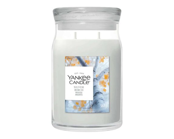 Candela Giara Grande Silver Birch – Yankee Candle