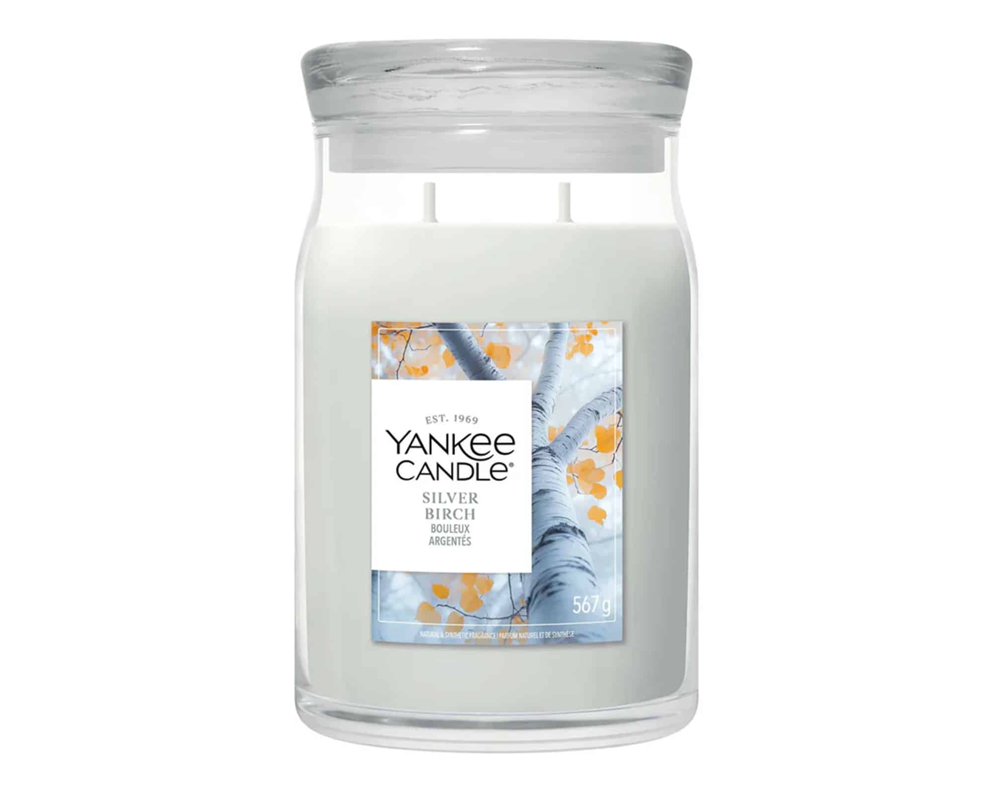 Candela Giara Grande Silver Birch - Yankee Candle