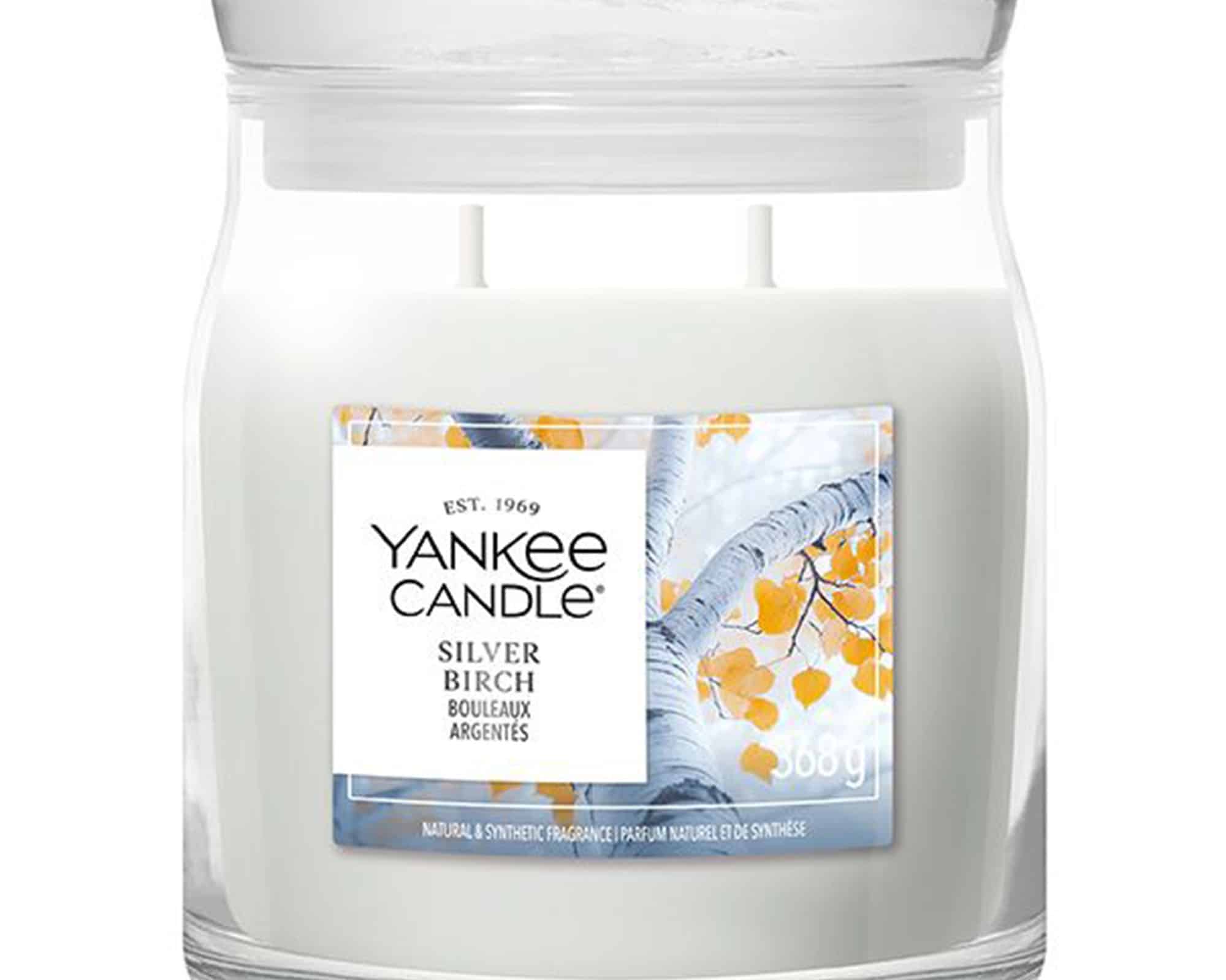 Giara Candela Media Silver Birch - Yankee Candle - immagine 2