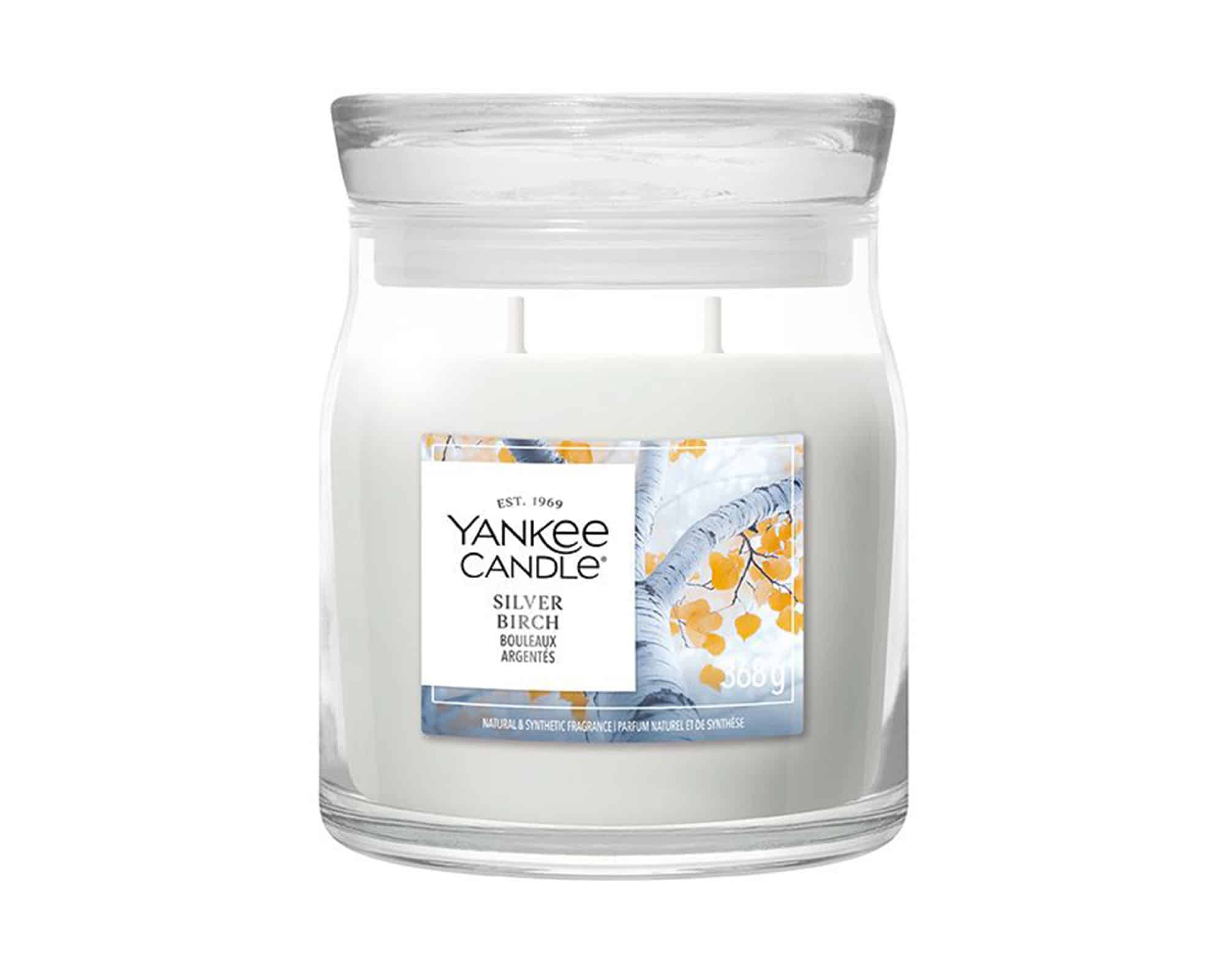 Giara Candela Media Silver Birch - Yankee Candle