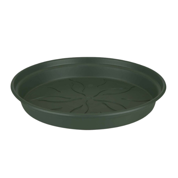Sottovaso rotondo Green Basics plastica – Floralgarden