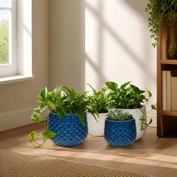 Vaso Decorativo Rotondo Portly CdL Wyber in Ceramica Smaltata con piante verdi