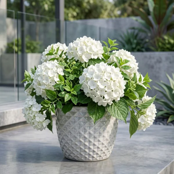 vaso decorativo rotondo portly egg wyber ceramica smaltata colore bianco con fiori bianchi fuori un balcone moderno in marmo
