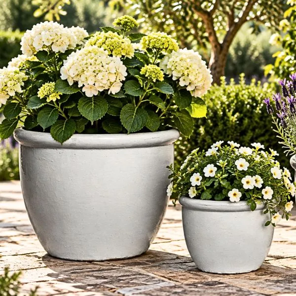 Il Vaso Decorativo Rotondo Bordato Glazed Hp001 di Mega Collections (distribuito da Floral Garden) unisce il fascino intramontabile della manifattura classica a una finitura moderna ad alto impatto visivo. Realizzato in terracotta ad alto spessore, questo vaso è caratterizzato da una silhouette sinuosa con un elegante bordo pronunciato sulla parte superiore, che ne facilita la presa e ne slancia la figura. La ricca smaltatura lucida esterna riflette magnificamente la luce, creando sfumature di colore cromatiche uniche su ogni pezzo che esaltano la tridimensionalità della ceramica sia in ambienti interni che outdoor, fuori da una terrazza con fiori gialli.