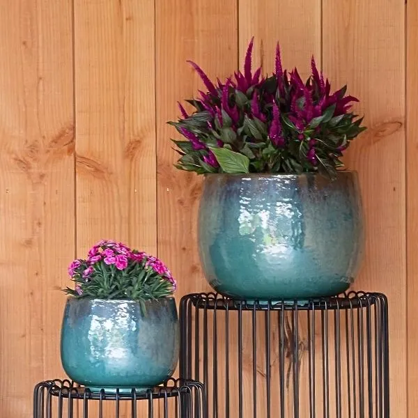 Il Vaso Decorativo Rotondo Glazed Pot Bowl S3 di Mega Collections (distribuito da Floral Garden) rappresenta la perfetta sintesi tra la solidità della terracotta tradizionale e la raffinatezza del design contemporaneo su sfondo in legno.