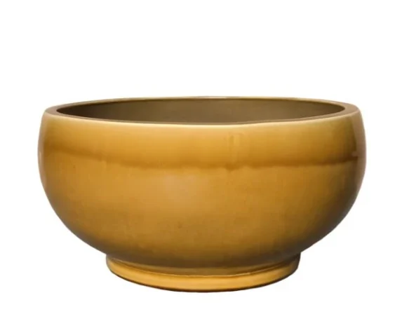 Vaso Decorativo Rotondo Noble Bowl Low in Ceramica Smaltata di Mega Collections (distribuita da Floral Garden). Questo elemento d'arredo basso e svasato (Bowl Shape) si sviluppa su una base solida con piedistallo pronunciato, ideale per dare vita a composizioni botaniche espanse o ospitare micro-paesaggi succulenti. Colore giallo ocra su sfondo bianco.