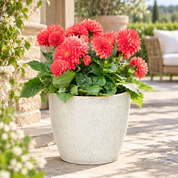 Vaso a Uovo Portly Egg Dimples in ceramica smaltata. Su Floral Garden: elegante texture a fossette con foro di drenaggio, disponibile in 3 misure