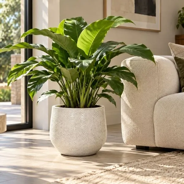 Vaso fioriera rotondo PortlyCld Dimples in ceramica smaltata. Su Floral Garden: esclusivo design picchiettato con fori sul fondo, in 3 misure!
