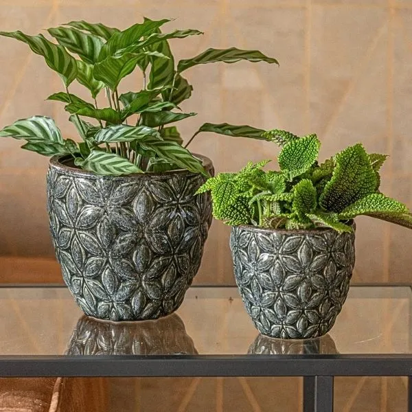 Vaso Cachepot Rotondo VidaEgg in ceramica smaltata. Su Floral Garden: esclusivo design geometrico a rilievo senza foro, ideale per interni di stile!