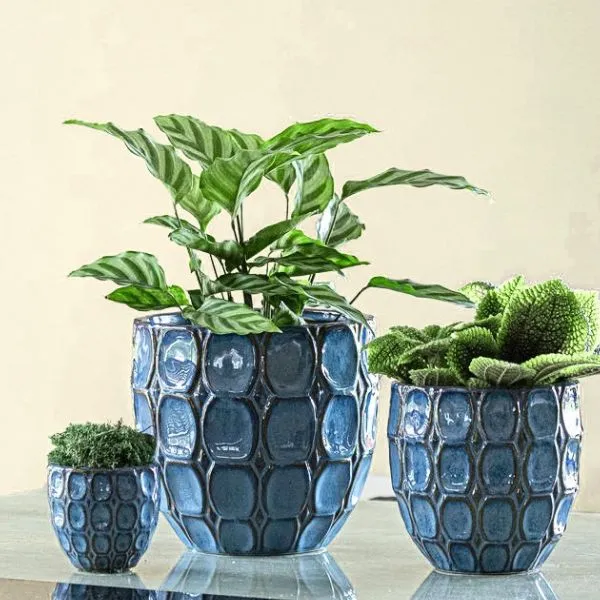 Vaso Cachepot Mignon VivaEgg in ceramica smaltata. Su Floral Garden: esclusivo design a nido d'ape senza foro D8 cm, ideale per mini succulente!