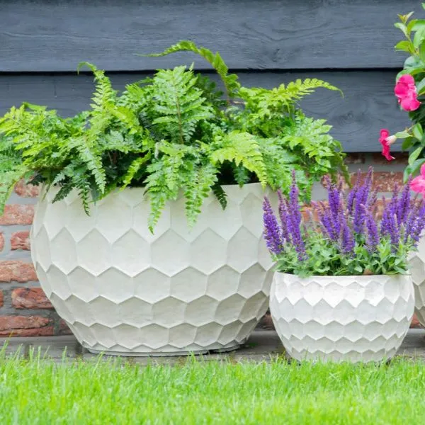 Vaso Ciotola YaraBowlLow in fibra di argilla con design a nido d'ape. Su Floral Garden: finitura effetto pietra con foro per esterni in 2 grandi misure!